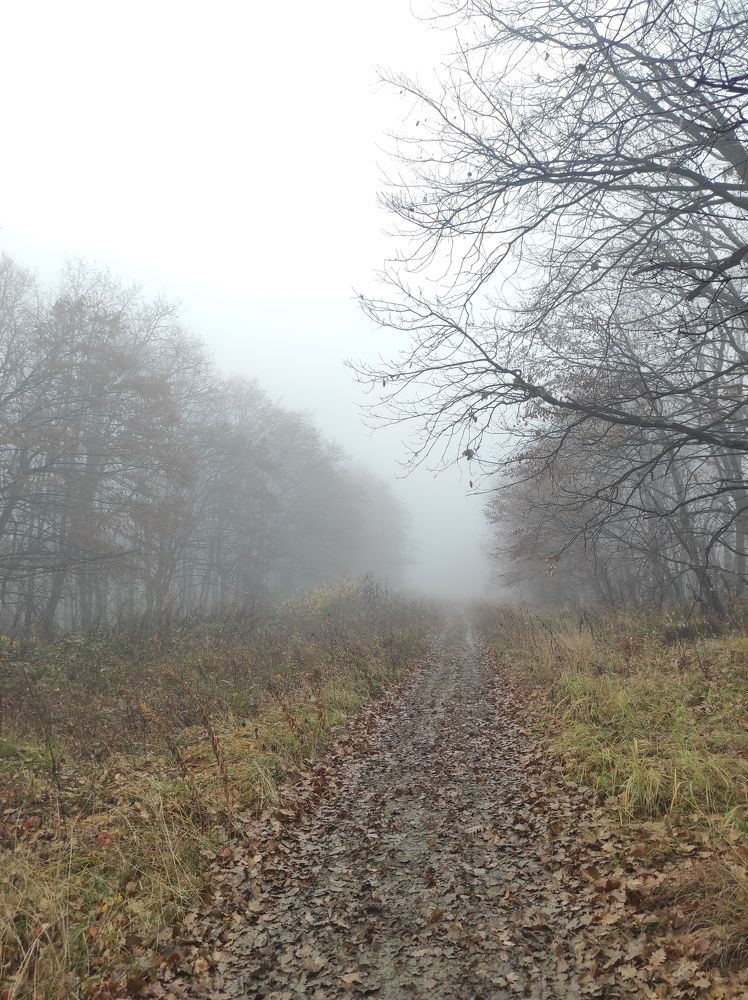 Photograph by Владимир Караман