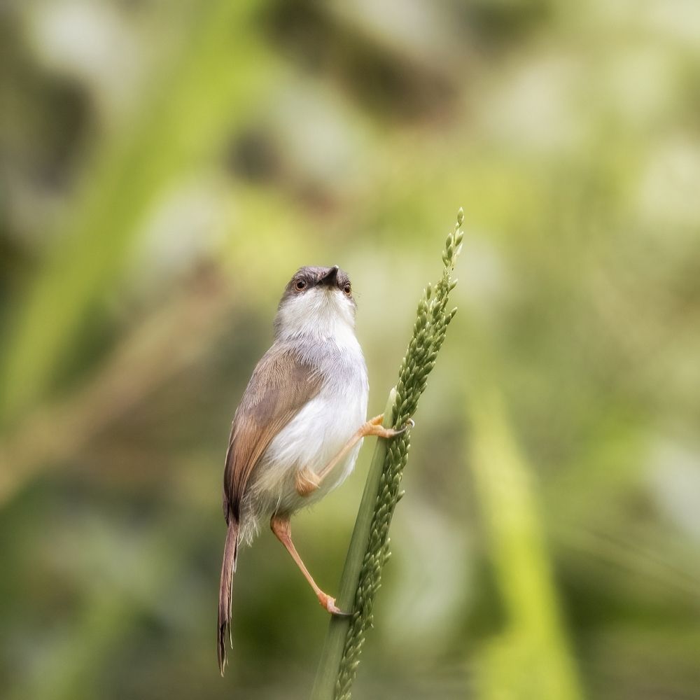 Photograph by Александр Дудников