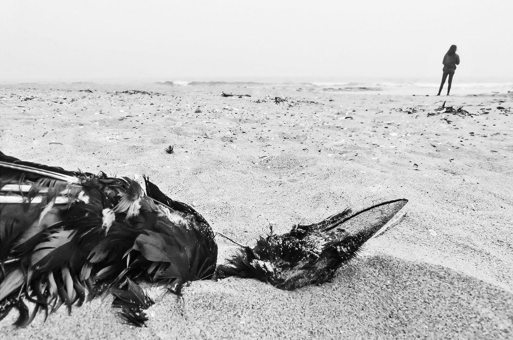 Photograph by Светлана Корнилова