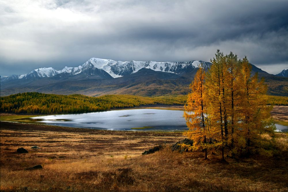 Photograph by Светлана Крат