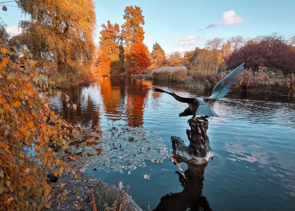 Photograph by Алёна Дьяченко