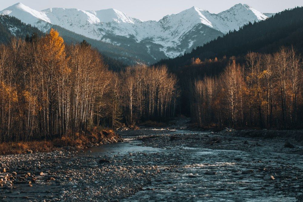 Photograph by Евгений Крюков