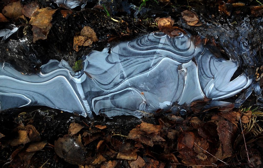 Photograph by Борис Кравецкий