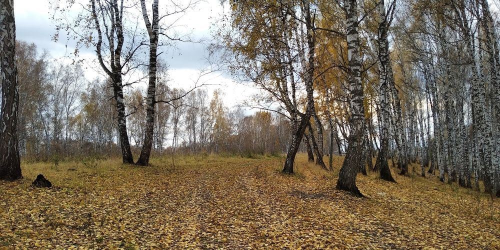Photograph by Людмила Фризен