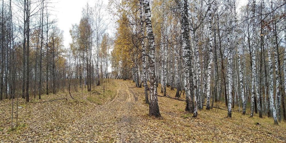 Photograph by Людмила Фризен