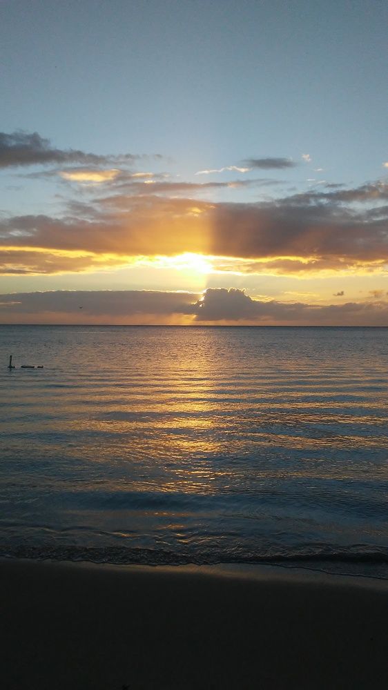 Фотография автора Jose Otero