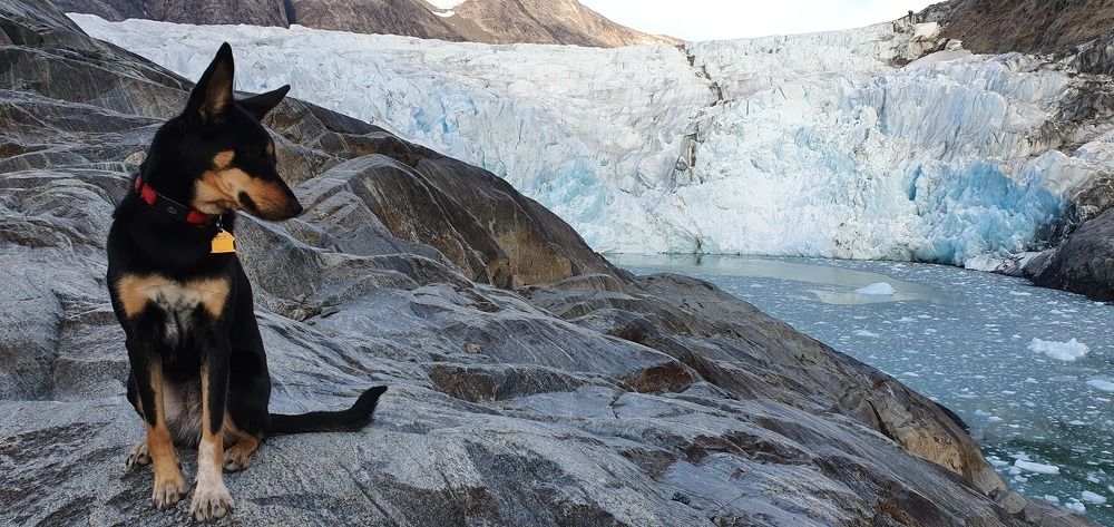 Photograph by Elisabeth Vinther