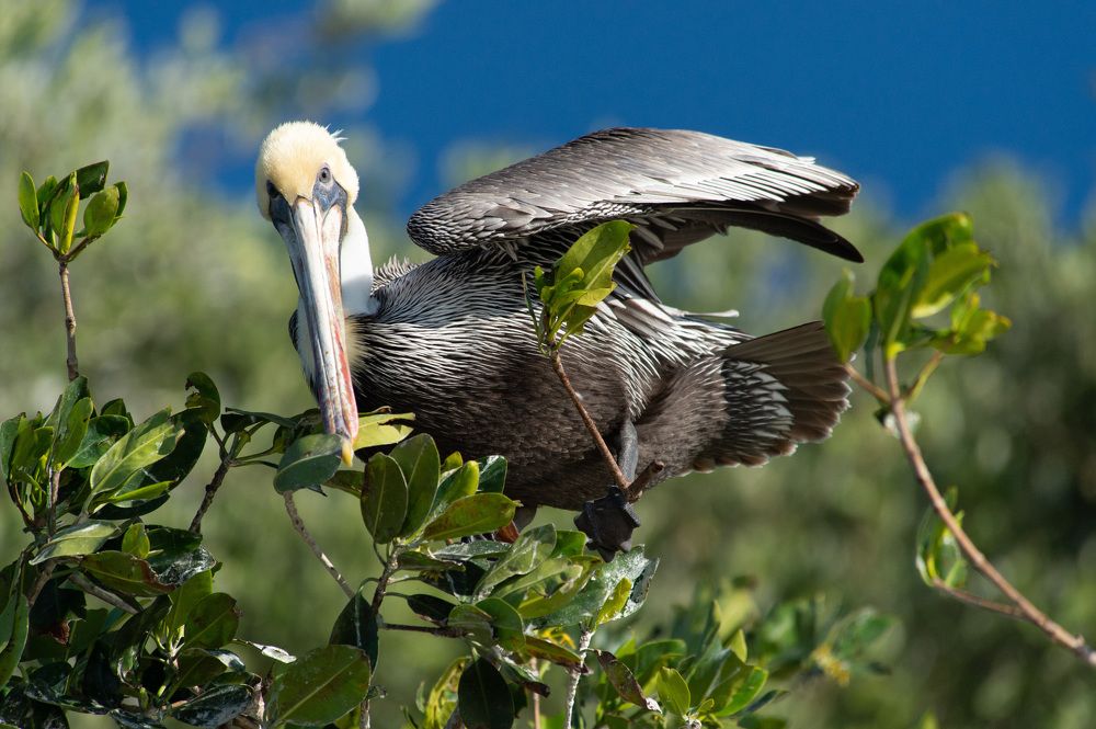 Photograph by Егор Кошкин