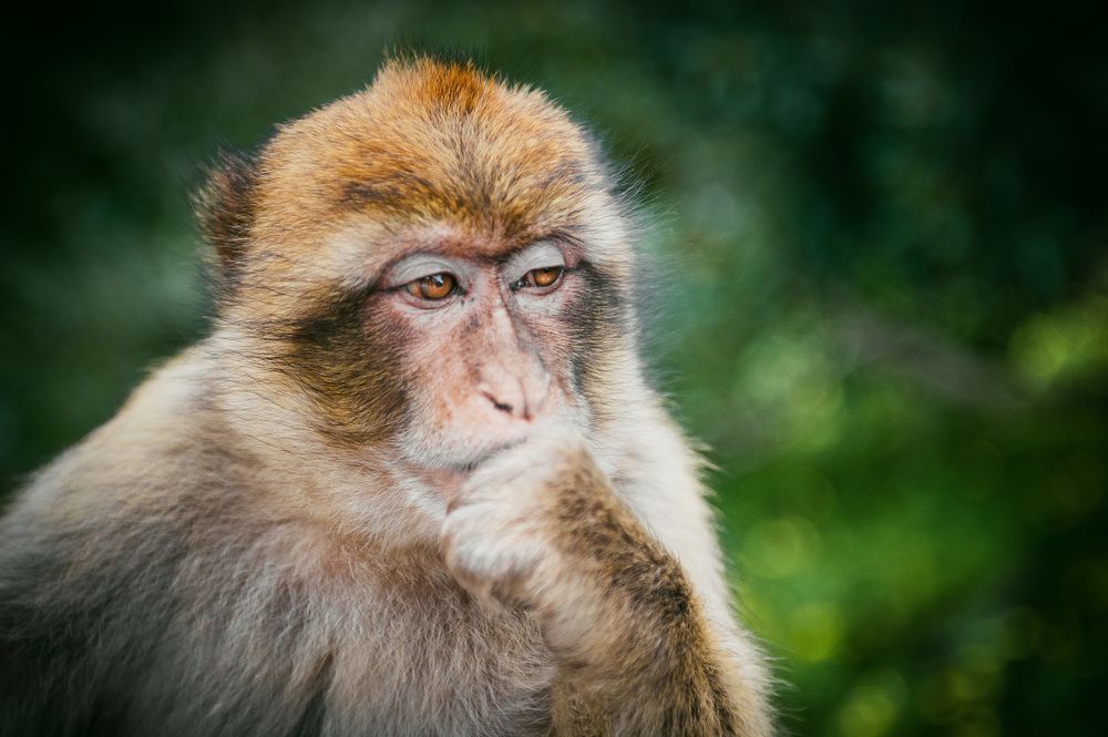 Photograph by Егор Кошкин