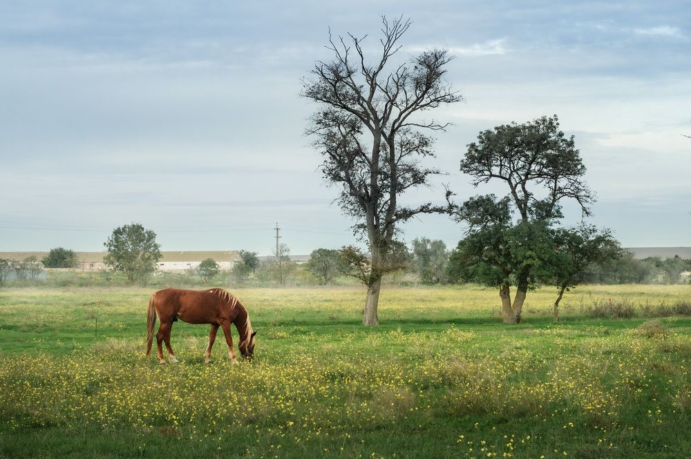Photograph by Егор Кошкин