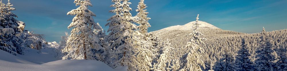 Photograph by Сергей Евдокимов