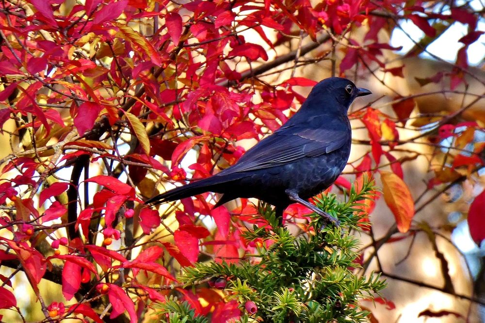 Photograph by backareva irina