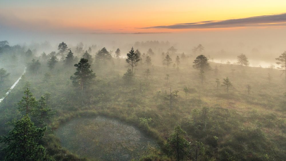 Photograph by Nikolai Mordan