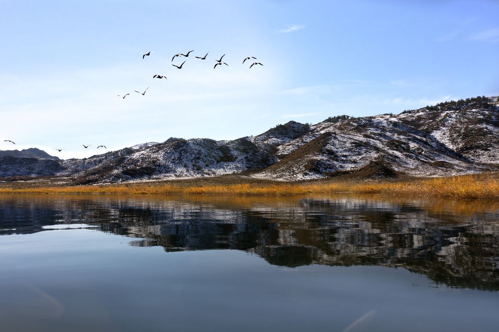 Photograph by Дериглазова Марина Владимировна