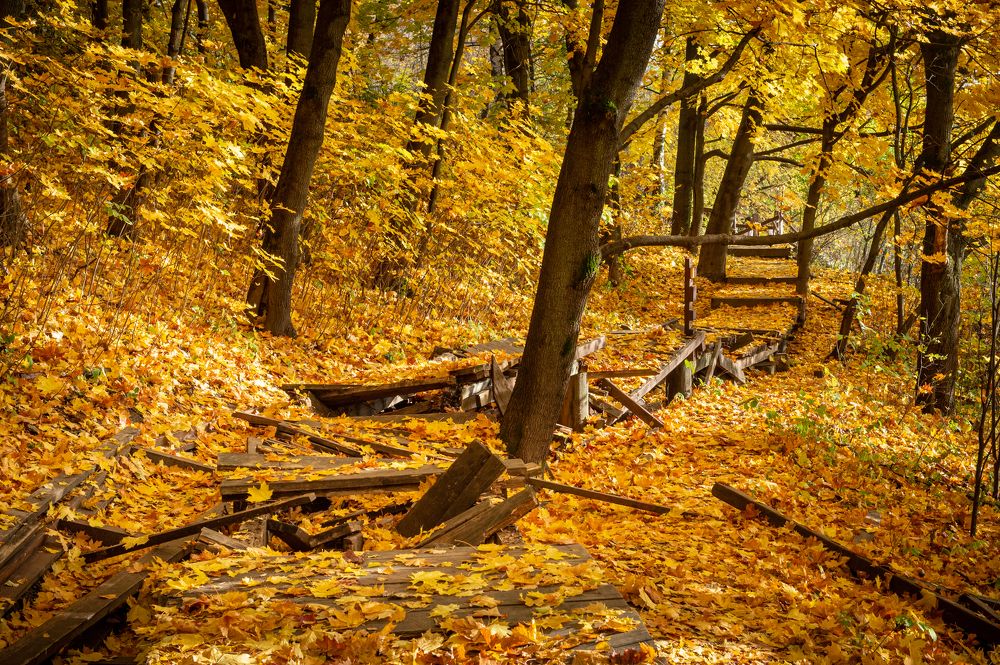 Photograph by Егор Кошкин