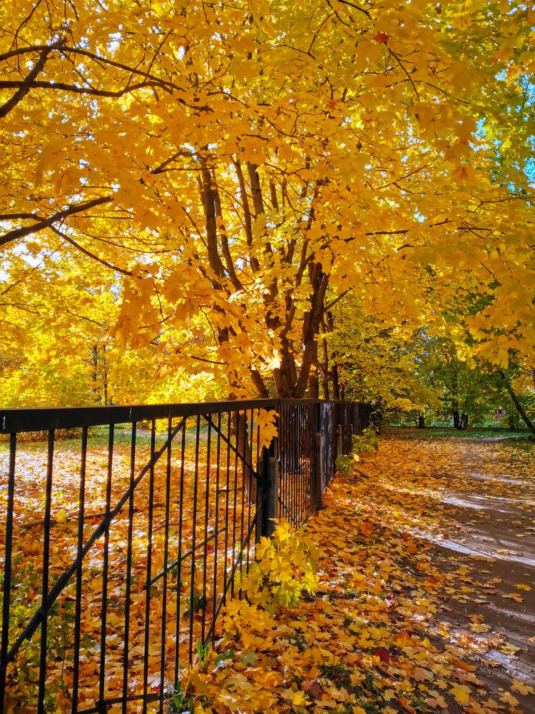 Photograph by Дмитрий Вальков