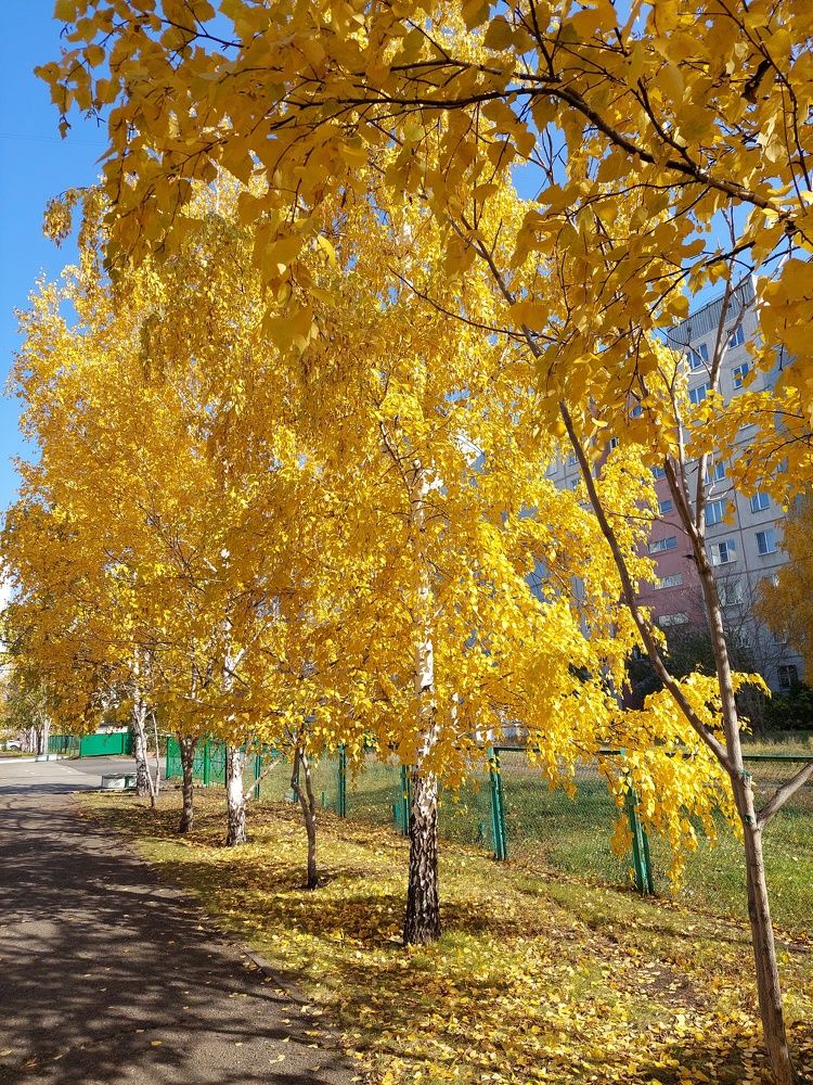 Photograph by Андрей Юденков