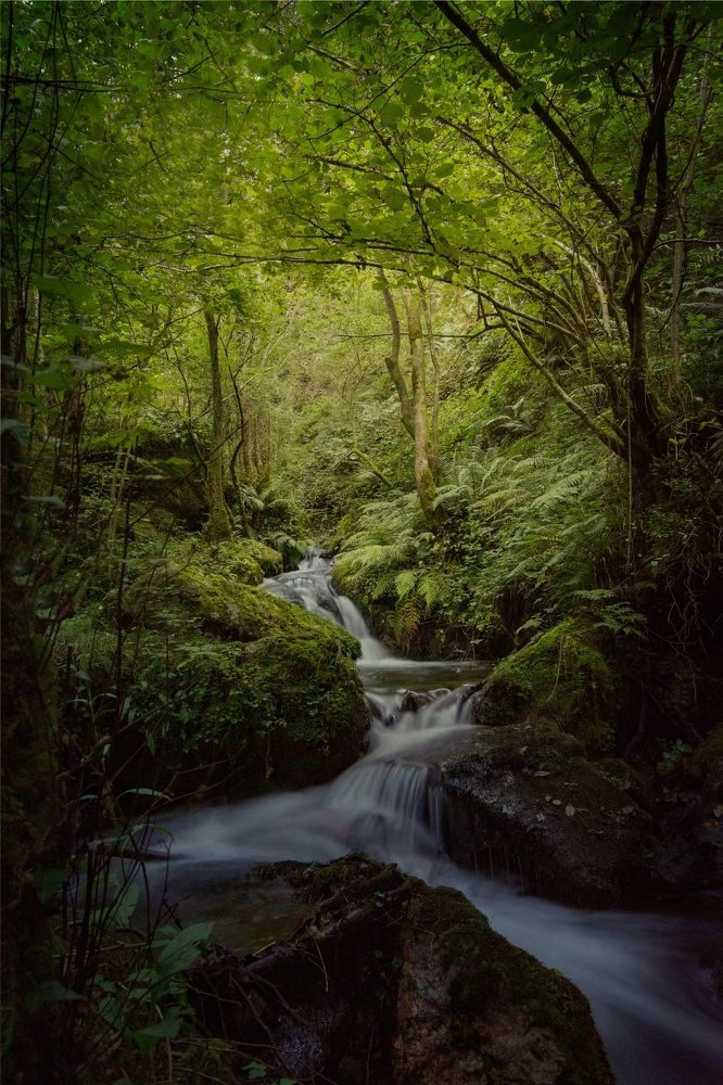 Photograph by Francisco