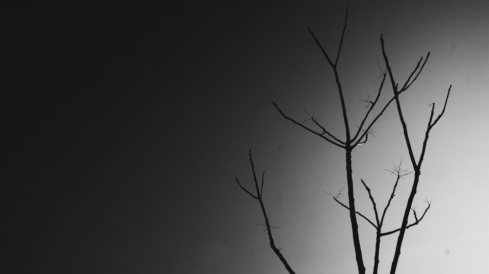 Photograph by Лиана Бондаренко