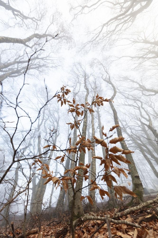 Photograph by Дериглазова Марина Владимировна