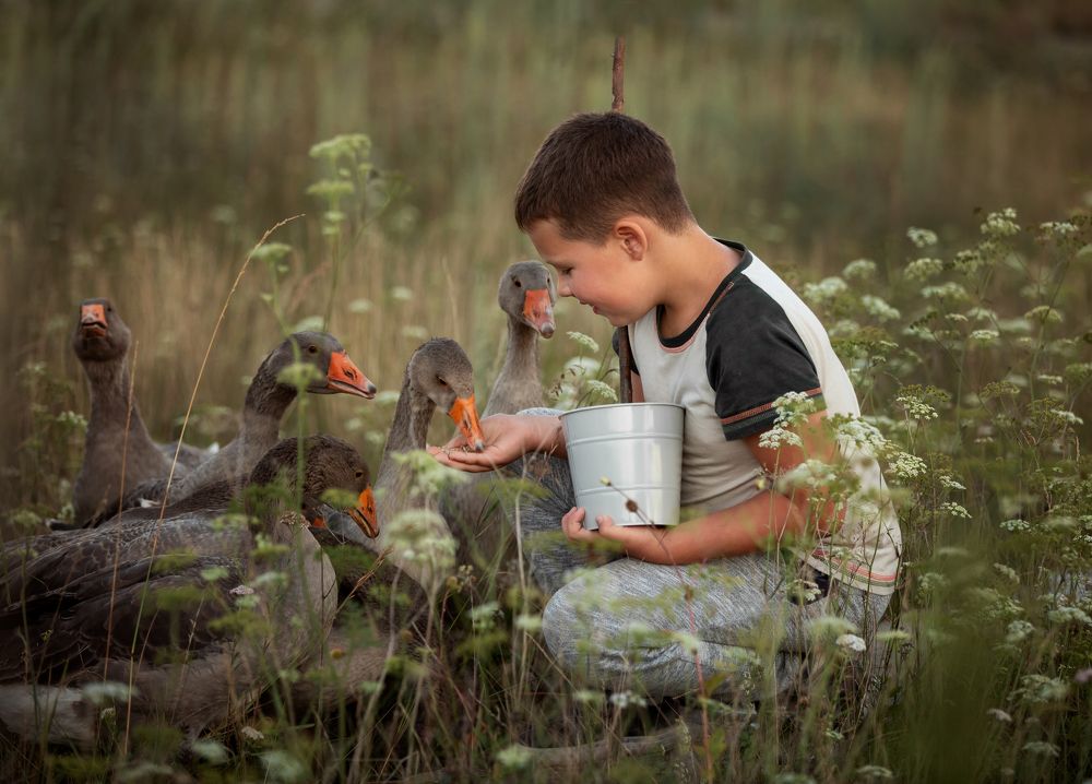 Photograph by Елена Кононова