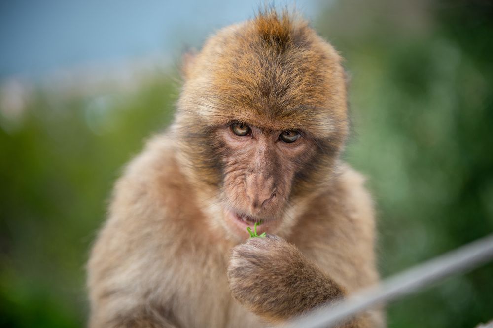 Photograph by Егор Кошкин