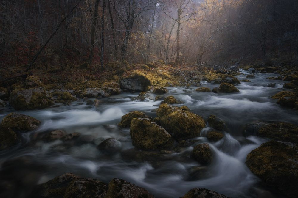 Photograph by Thomas de Franzoni