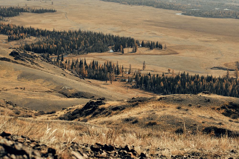 Photograph by Ирина Корнева