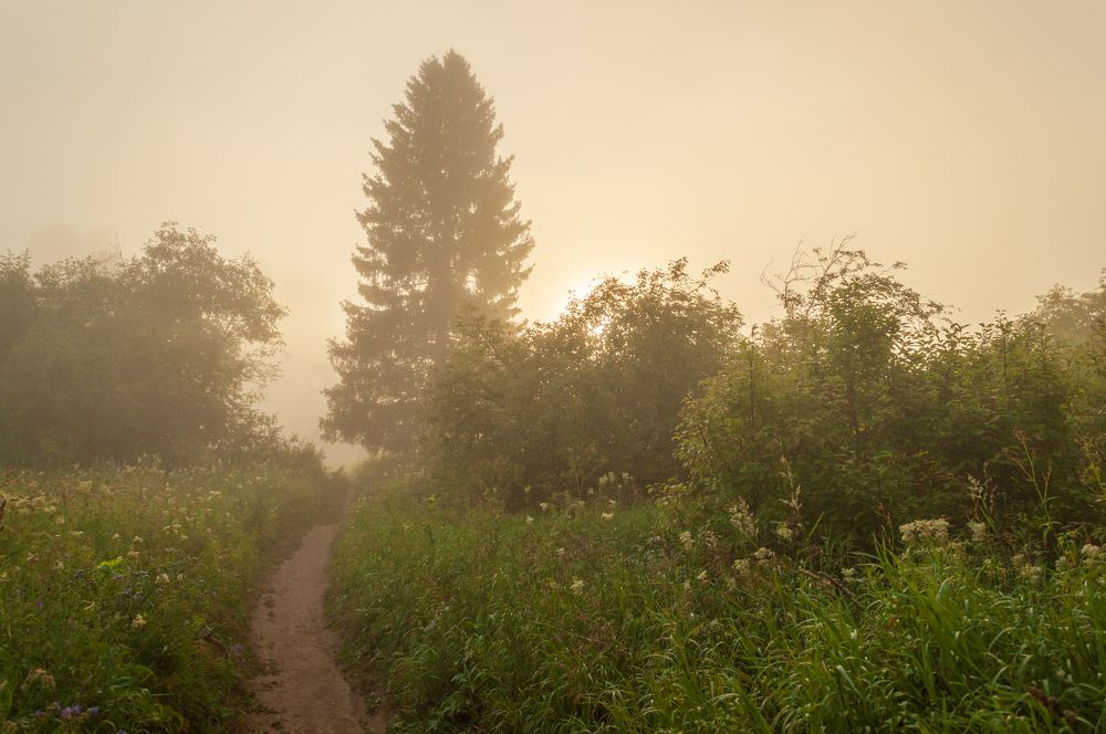 Photograph by Денис Кичев