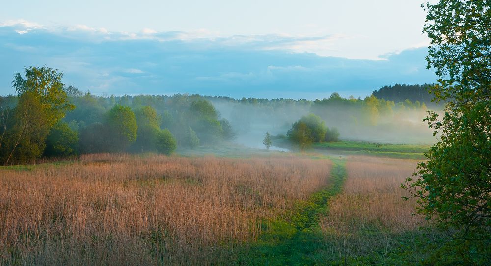 Фотография автора Олег Анатольевич Загорулько