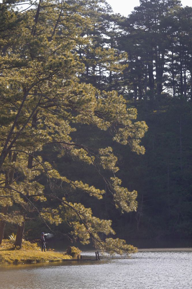 Photograph by Ngo Duy Minh Triet