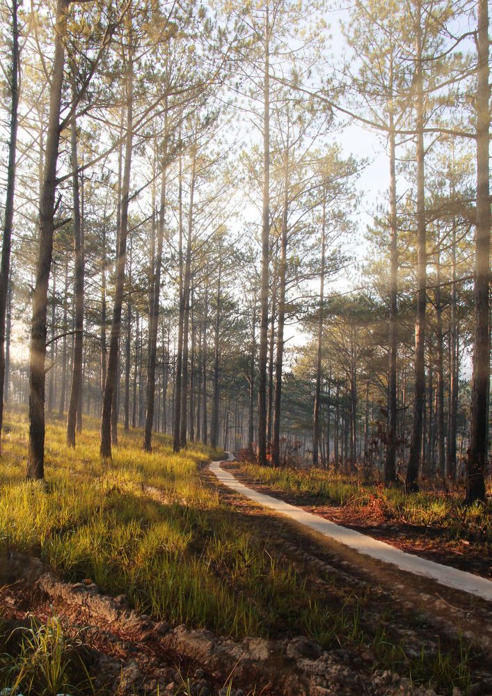 Photograph by Ngo Duy Minh Triet