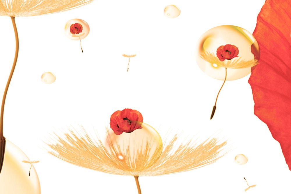 Photograph by Татьяна Дорожко