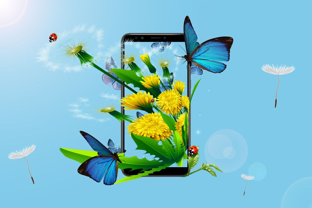 Photograph by Татьяна Дорожко