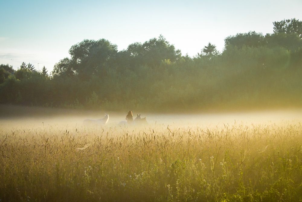 Photograph by Ольга Заповедная