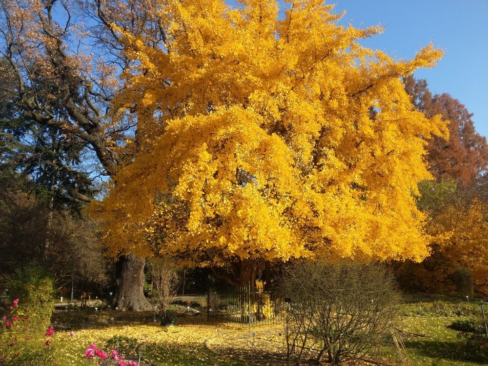 Photograph by Dariusz Gruszka