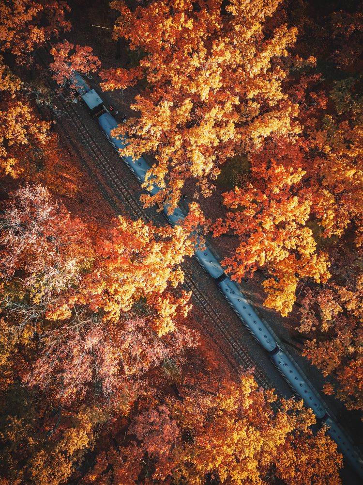 Photograph by Виталий Попов