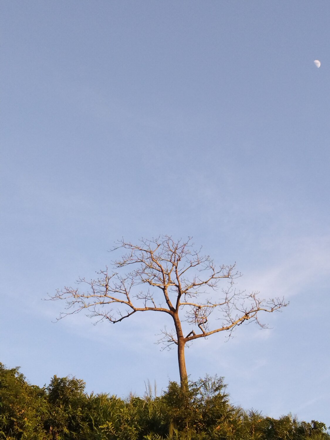 Photo #6727179
