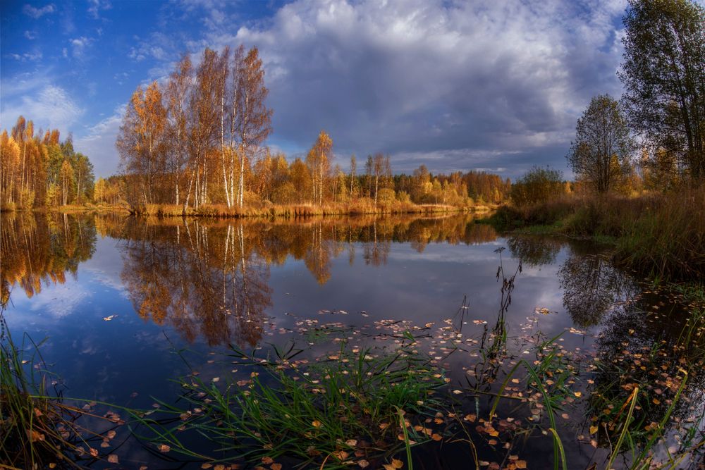 Photograph by Марина Мурашова