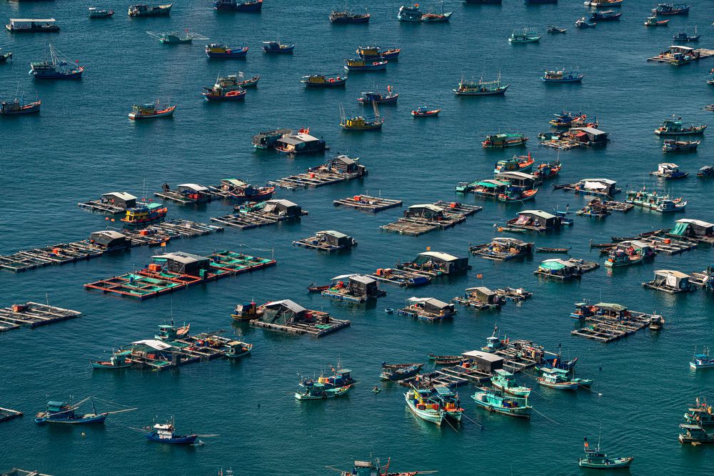 Photograph by nguyễn minh