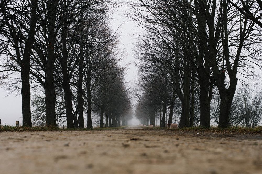 Photograph by Максим Сорокин