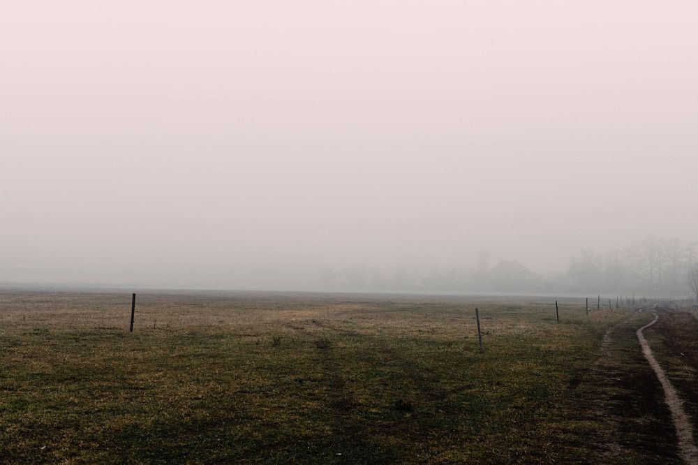 Photograph by Максим Сорокин