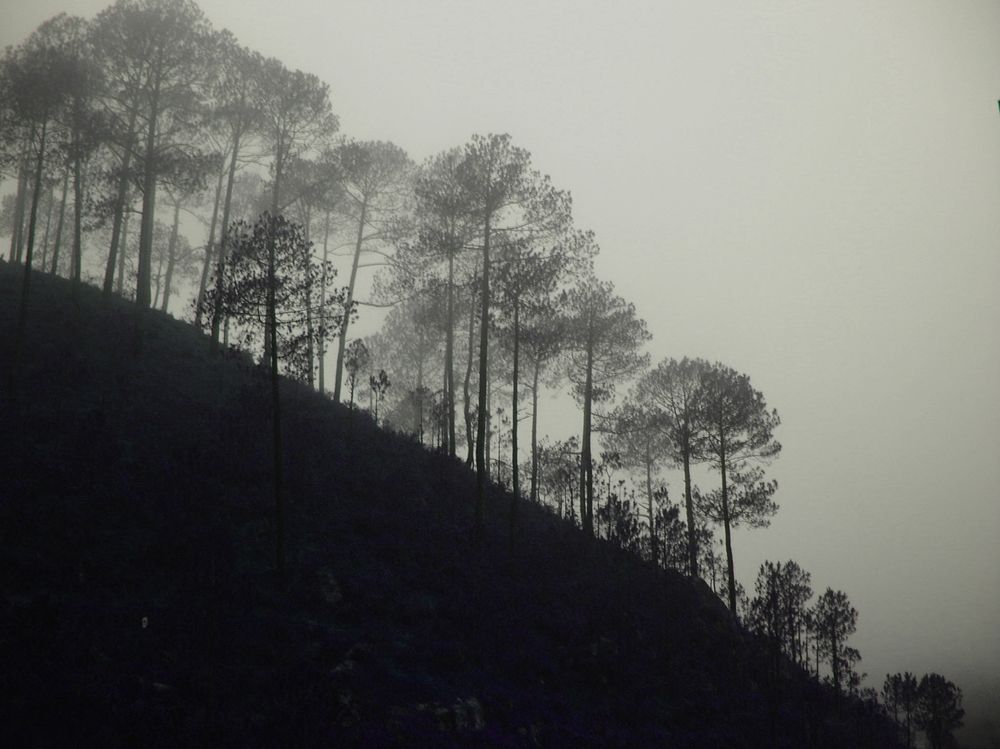 Photograph by Kapil Singh