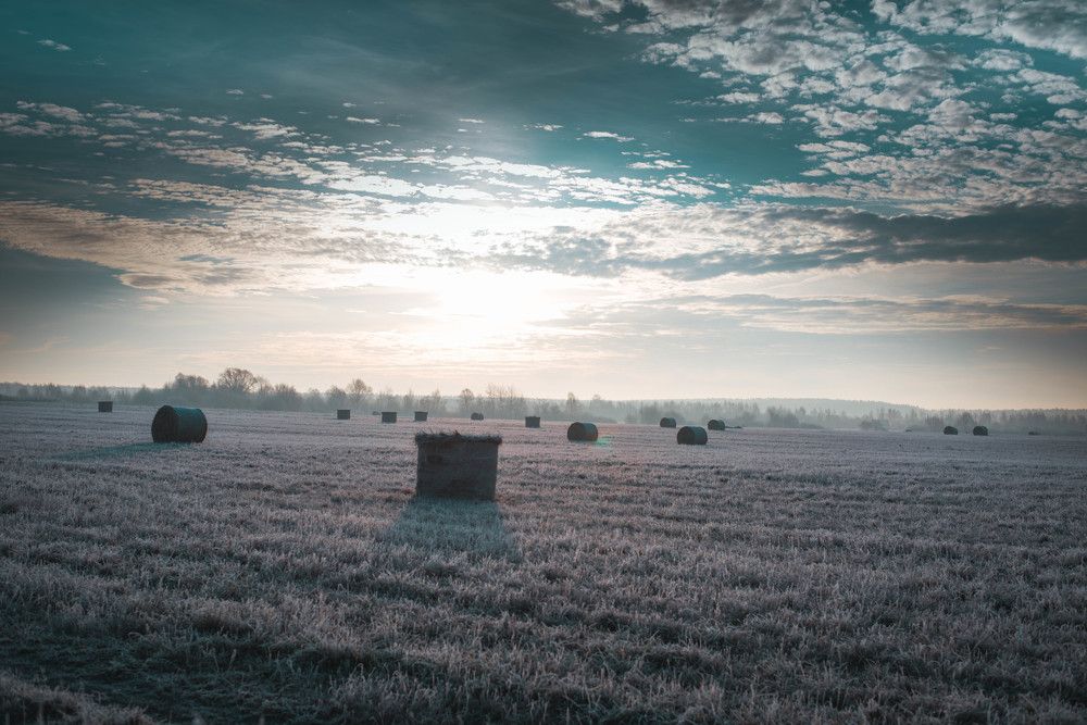 Photograph by Максим Сорокин