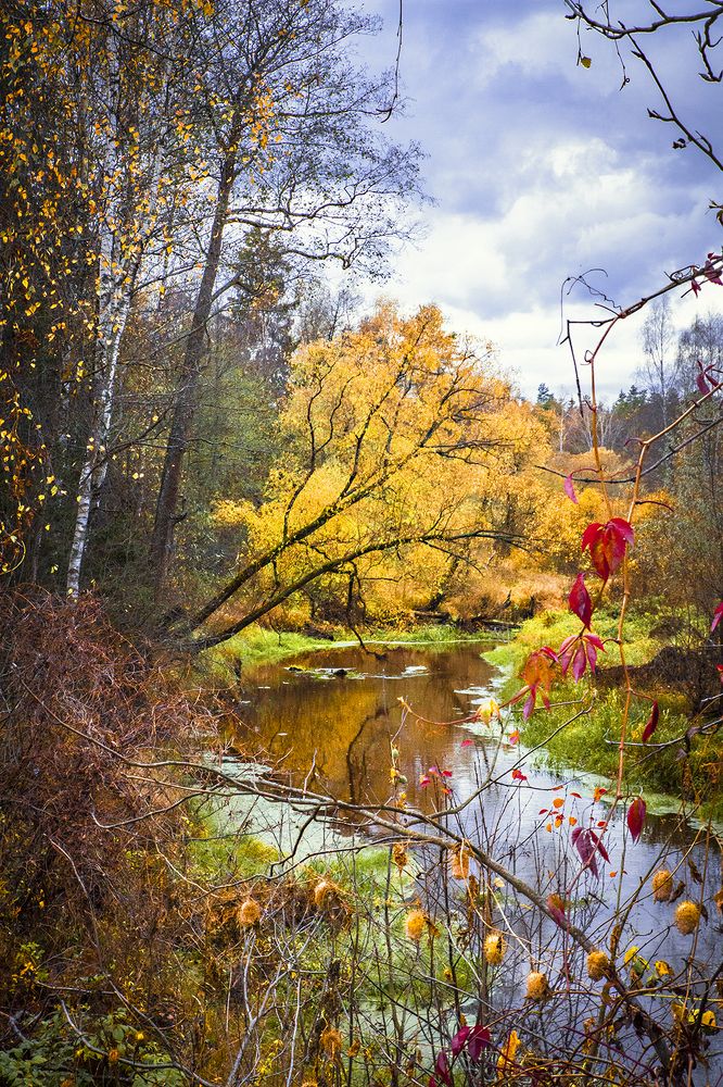 Photograph by Борис Назаров