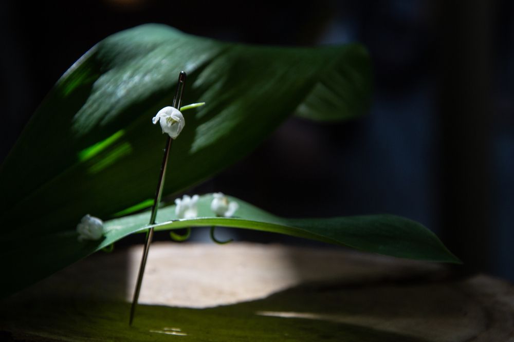 Photograph by Ирина Степанова