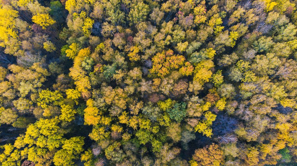 Photograph by Максим Сорокин