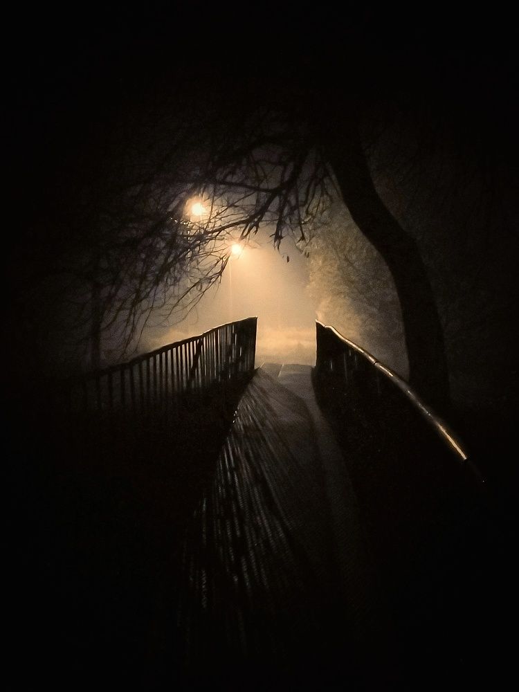 Фотография автора Наталья Алексеева