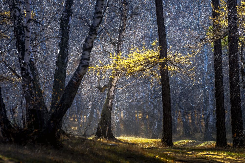 Photograph by Андрей Шарапов