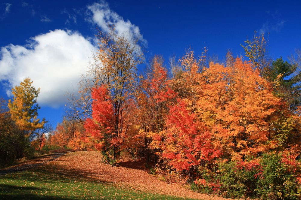 Photograph by Popa Alin